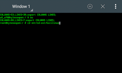 cd mnt/sd-ext/kalilinux